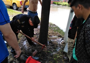 消防栓變成“噴泉” 特保緊急協(xié)助搶險 ——奉浦網格項目隊員處理