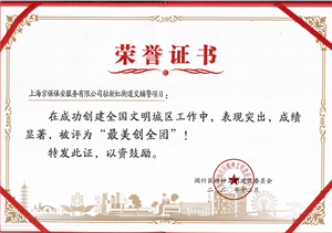 新虹街道交管輔警項(xiàng)目被評(píng)為“最美創(chuàng)全團(tuán)”