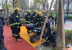 助人為樂展風采系列—近期(2021.11.30)公司涌現(xiàn)4起助人為樂好人好